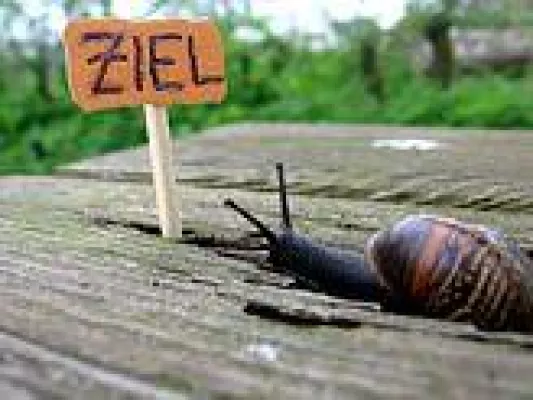 Bild: Professionelle coachingbasierte Seminare