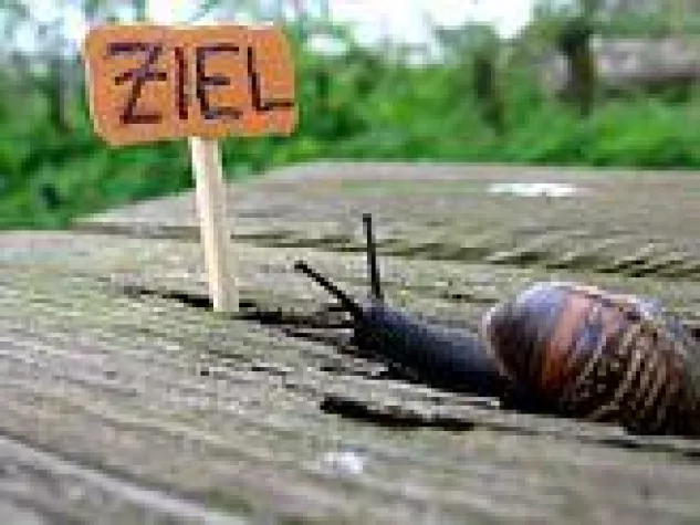 Bild: Professionelle coachingbasierte Seminare