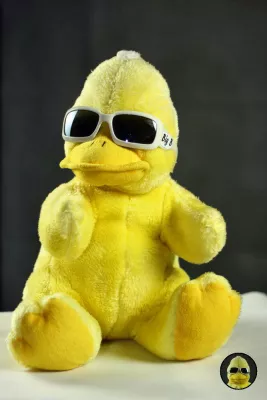 Bild: OPPR:: BigB aus Beckum - Warum ist der Erpel gelb? ::