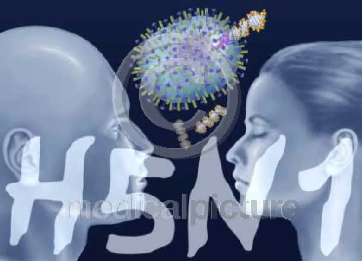 Vogelgrippe bei medicalpicture