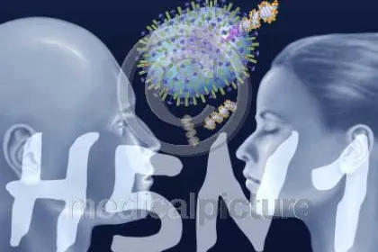 Bild: Vogelgrippe - das bedrohliche Virus hautnah bei medicalpicture
