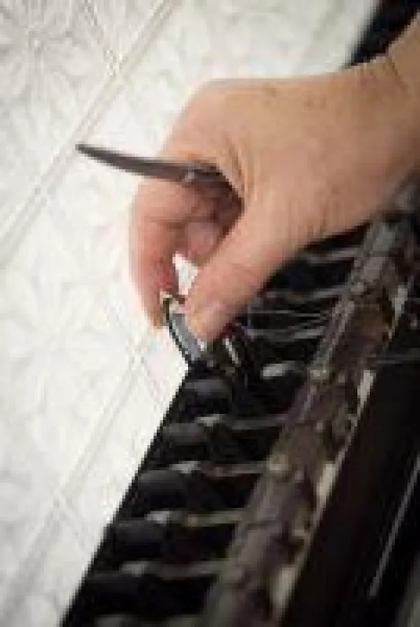 Mit Liebe zum Detail - Plauener Spitze