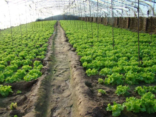 Bild: ABiTEP GmbH auf 7. BMBF-Forum für Nachhaltigkeit vorgestellt