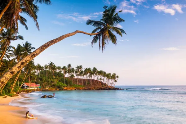Traumreiseziel Sri Lanka - Mehr als ein klassisches Reiseziel Bild: Traumreiseziel Sri Lanka - Mehr als ein klassisches Reiseziel