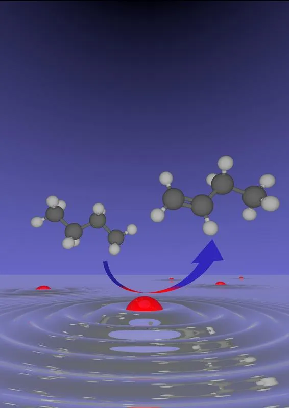 A diagram illustrating the processes at the catalytic surface of a liquid drop of gallium containing small amounts of palladium during the catalytic dehydrogenation of n-butane. (Image: FAU/Mathias G