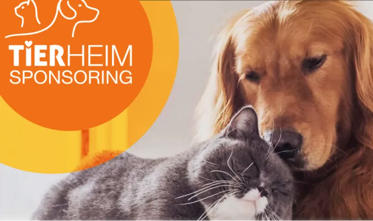 Bild: Tierliebe beginnt im Herzen - und wirkt im Napf