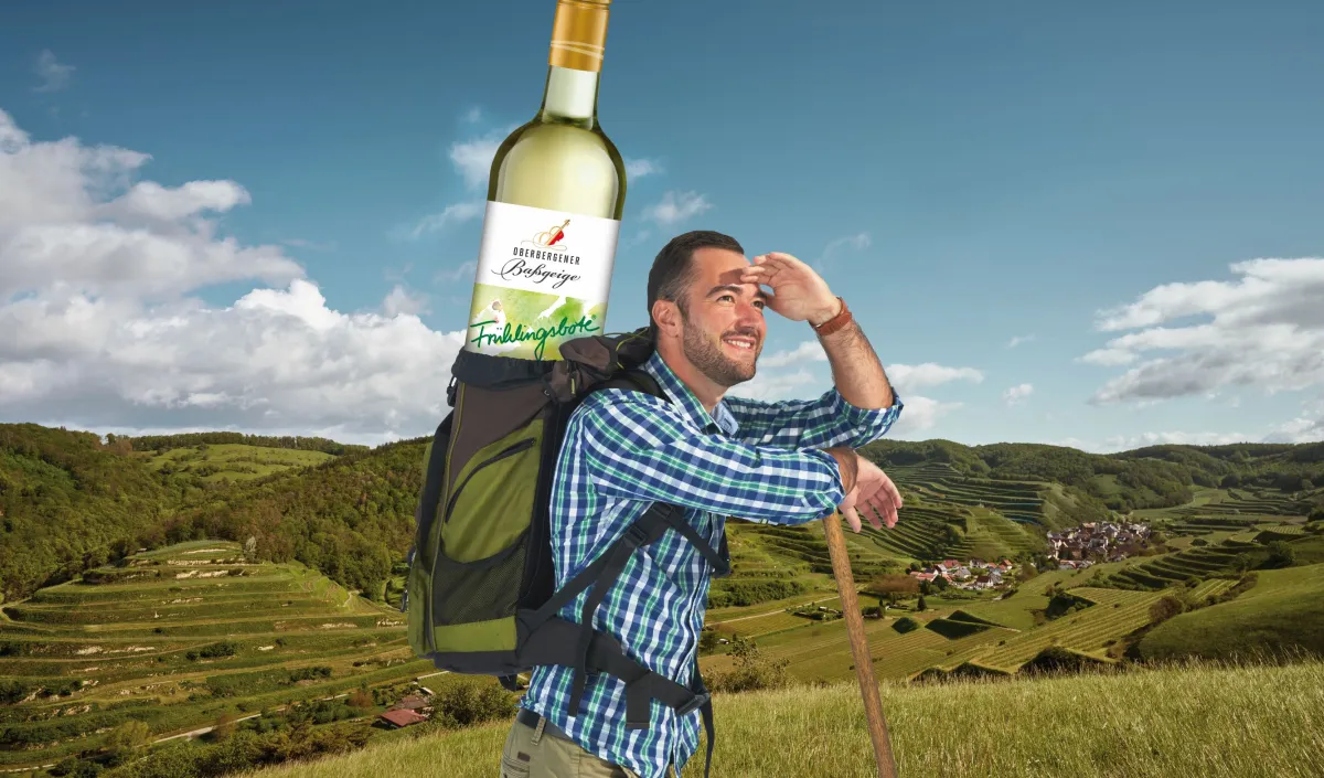 Oberbergener Baßgeige Frühlingsbote im Wander-Paradies (© Winzergenossenschaft Oberbergen )