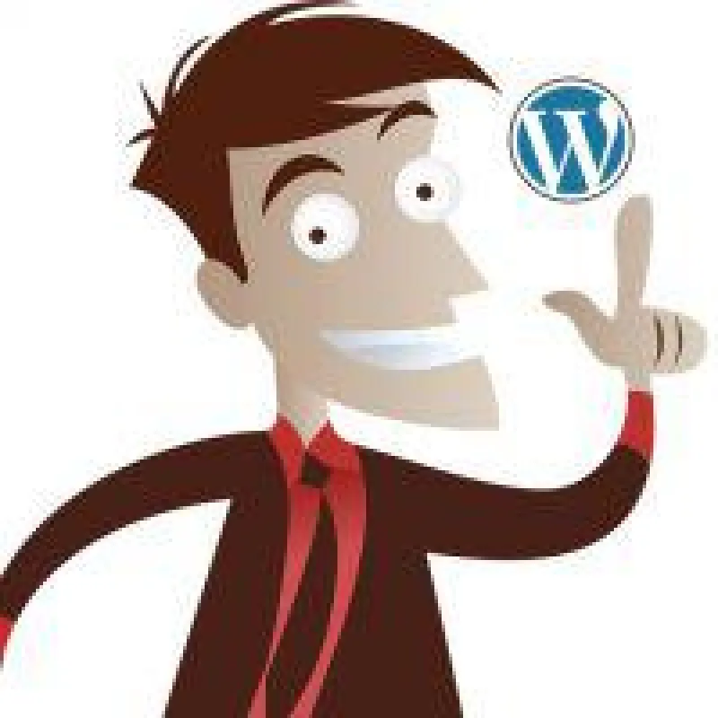 Eine Blog-Domain für einen Wordpress Blog ist eine pfiffige Idee....