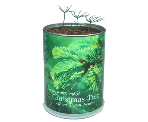 Bild: Grüne Weihnachten: Tipps für ein ökologisch korrektes Weihnachtsfest