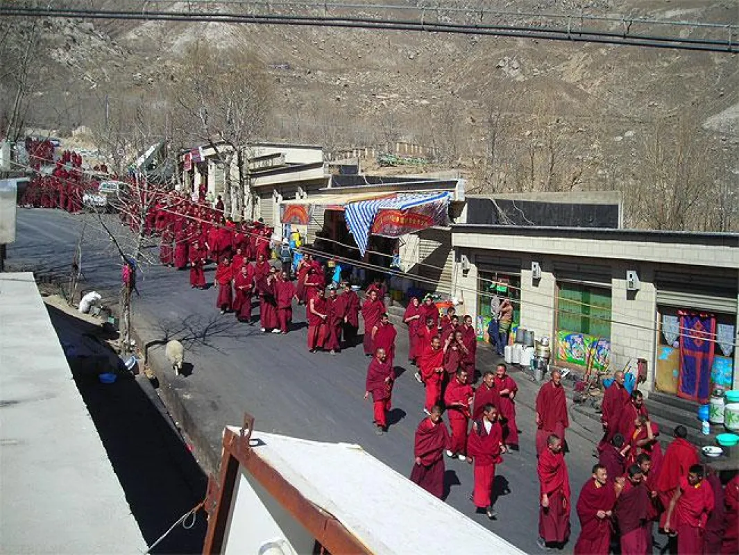 Protestmarsch der Mönche des Klosters Drepung am 10. März 2008