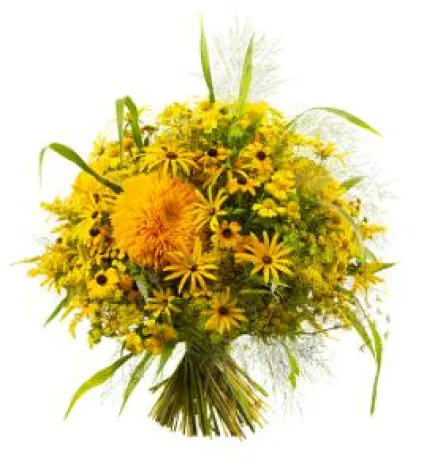 Bild: Sommertipp: Herrliche Blumenpracht trotz Hitze