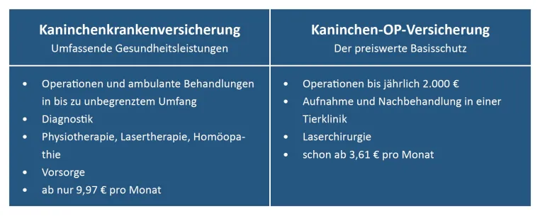 Bild: Großer Schutz für lange Ohren: die Kaninchenversicherung