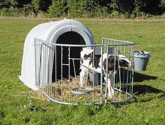 Bild: Kälberhütte aus PE mit neuer Kipp-Scharnierlösung für das Auslaufgitter