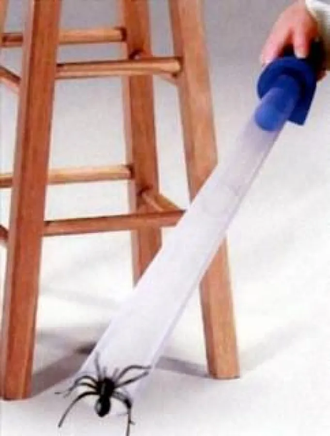 Der geniale Spinnenfänger