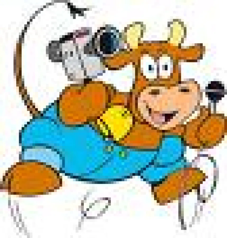 Unsere Video Kuh führt Regie