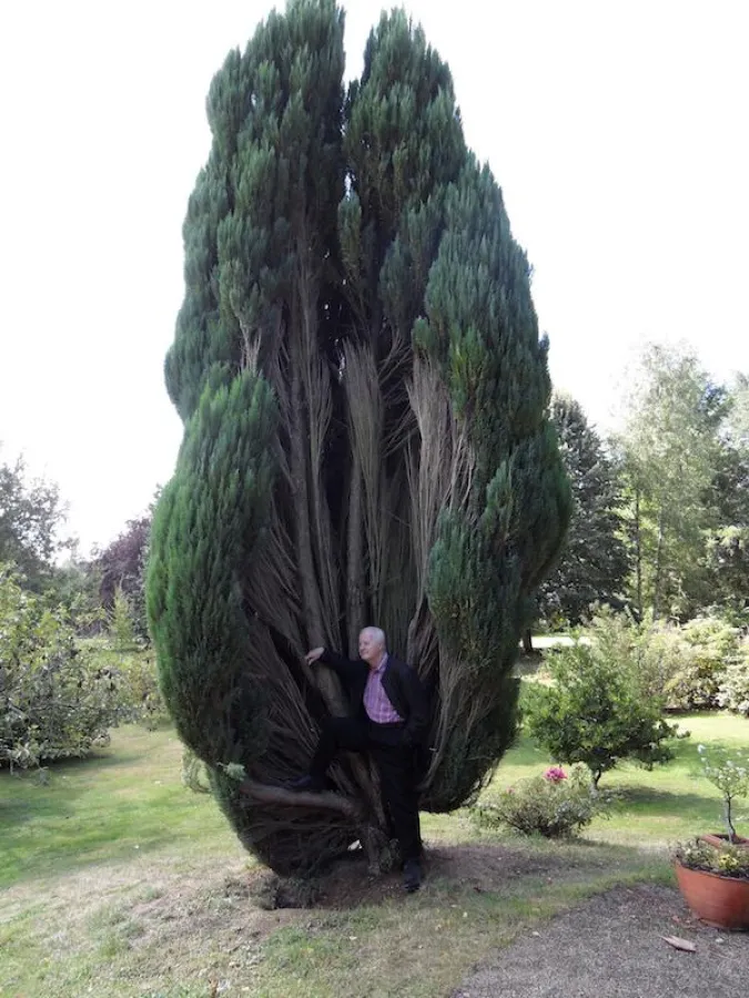 Angerer d.Ä. Ehrengast Kunstbiennale St.Leonard de Noblat