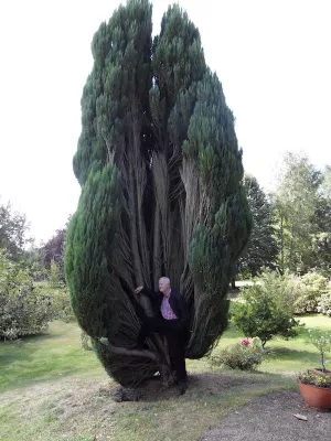 Lügenkunst - Lügenpresse - Interview Bild: Lügenkunst - Lügenpresse - Interview