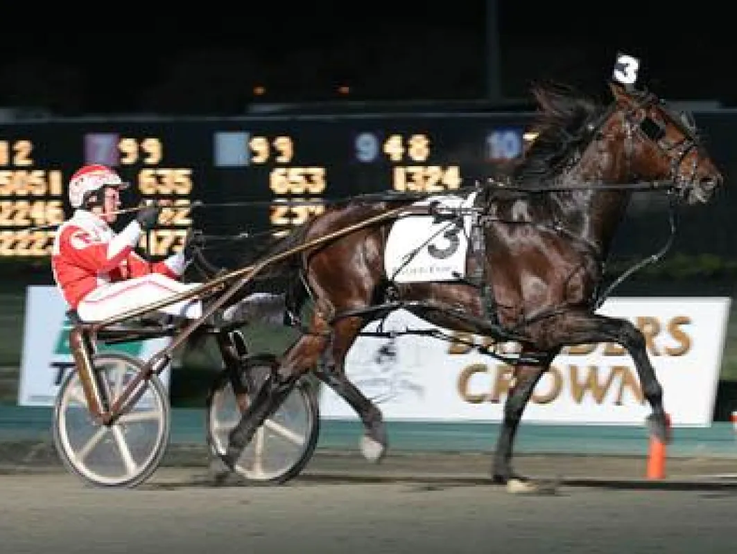 Somebeachsomewhere - Grosser Sieger bei der Breeders Crown