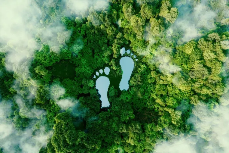 Bild: VentureGrid bringt Transparenz in den CO₂-Zertifikate-Handel 