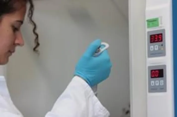 Validierung im Sinne von IFS und BRC Bild: Validierung im Sinne von IFS und BRC