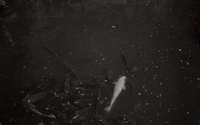 Bild: Ausstellung "nicht zu sehen" von Karen Irmer in der Zweigstelle Berlin