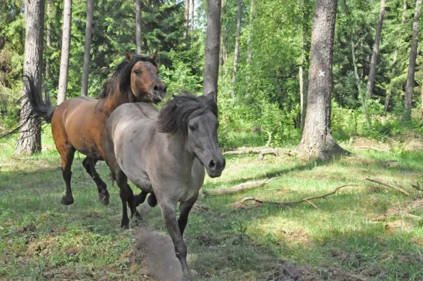 Überlebt, dank Farbanpassung Bild: Überlebt, dank Farbanpassung
