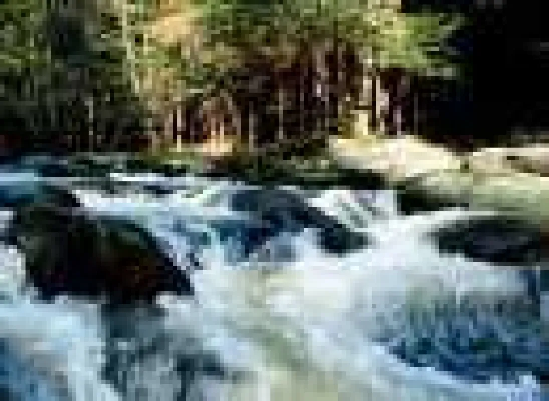Wildbach in Bayern