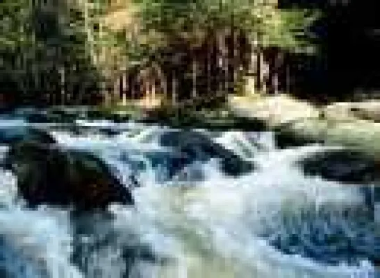 Bild: Wandern in Bayern über Handelswege und Grenzsteige