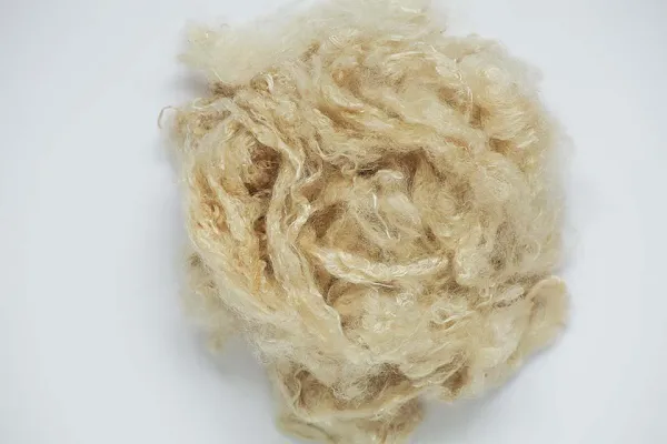 SeaCell™ und smartcel™ sensitive: Hautfreundliche Fasern für nachhaltige Textilien Bild: SeaCell™ und smartcel™ sensitive: Hautfreundliche Fasern für nachhaltige Textilien