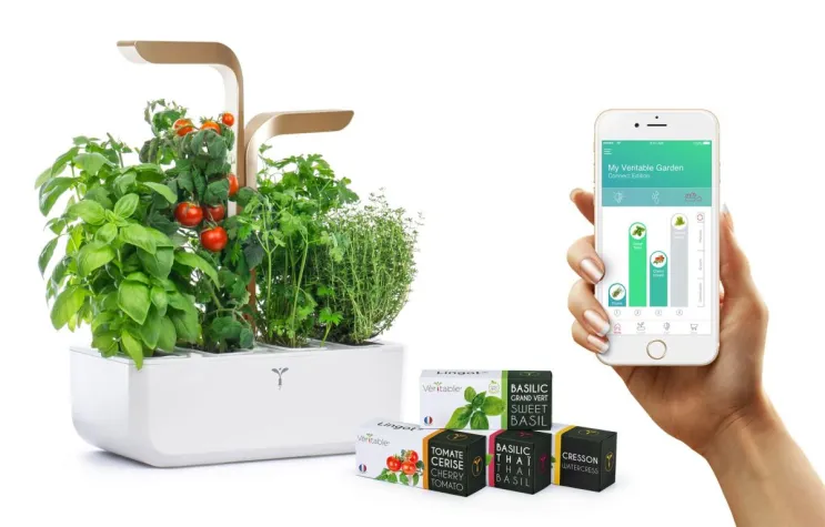 Bild: Quinta wird offizieller Distributor von Véritable® Indoor Gärten