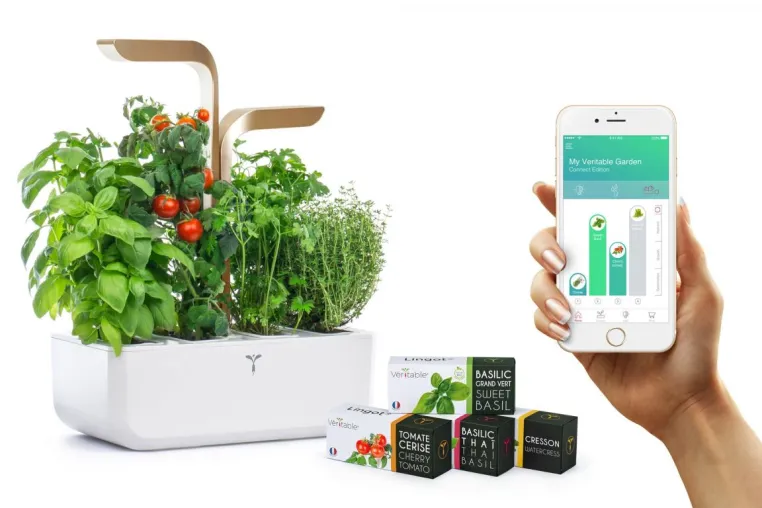 Bild: Quinta wird offizieller Distributor von Véritable® Indoor Gärten