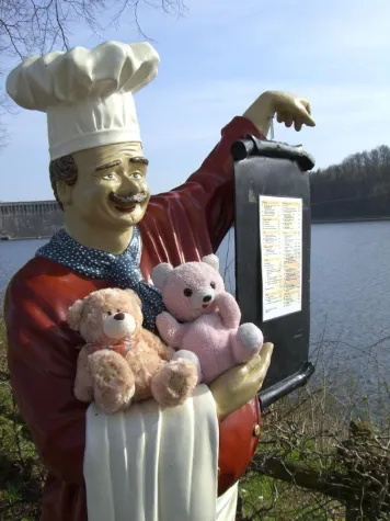 Bild: Bären wurden von Mücken umzingelt