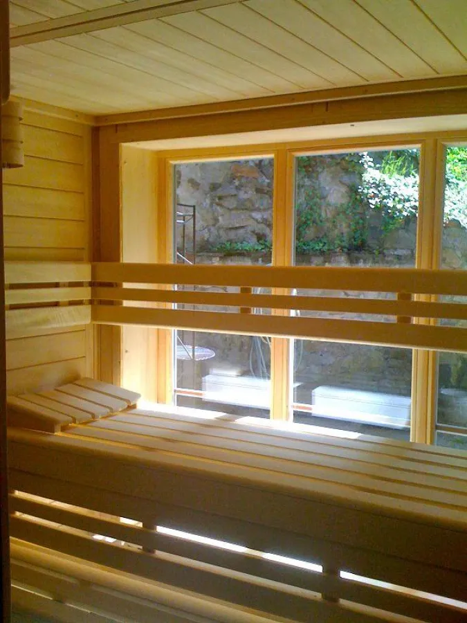 Beispiel einer Sauna mit großem Fenster eines Well & Fit Kunden