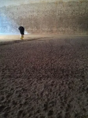 Bild: Betonschutz-Beschichtung für Speicherkammer von Bioabfällen