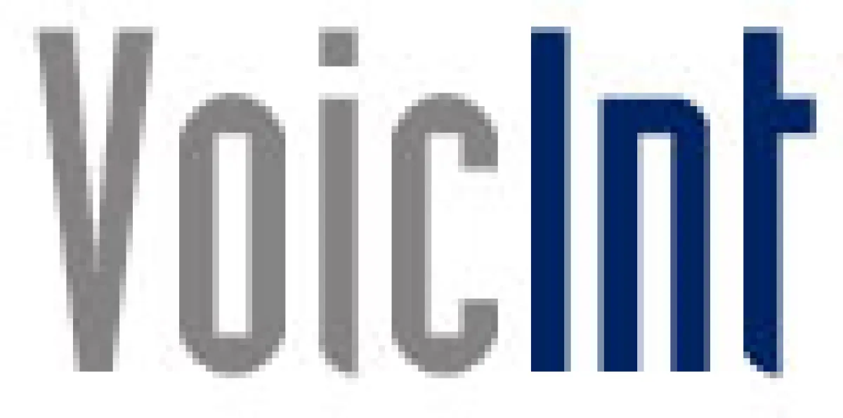 www.voicint.com
