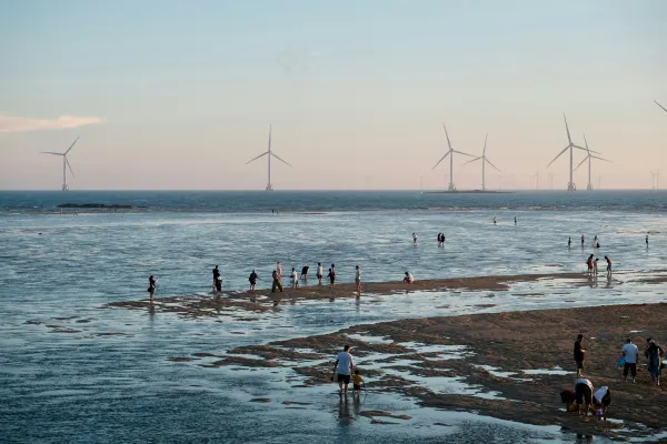 Bild: Offshore-Windparks verändern Sedimentdynamik