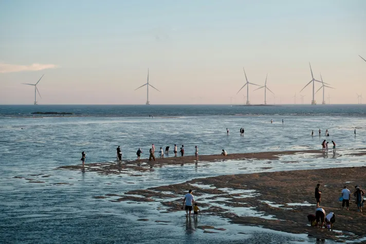Offshore-Windparks verändern Sedimentdynamik Bild: Offshore-Windparks verändern Sedimentdynamik