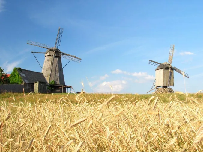 Bild: Naturpark- und Gartenreise nach Estland