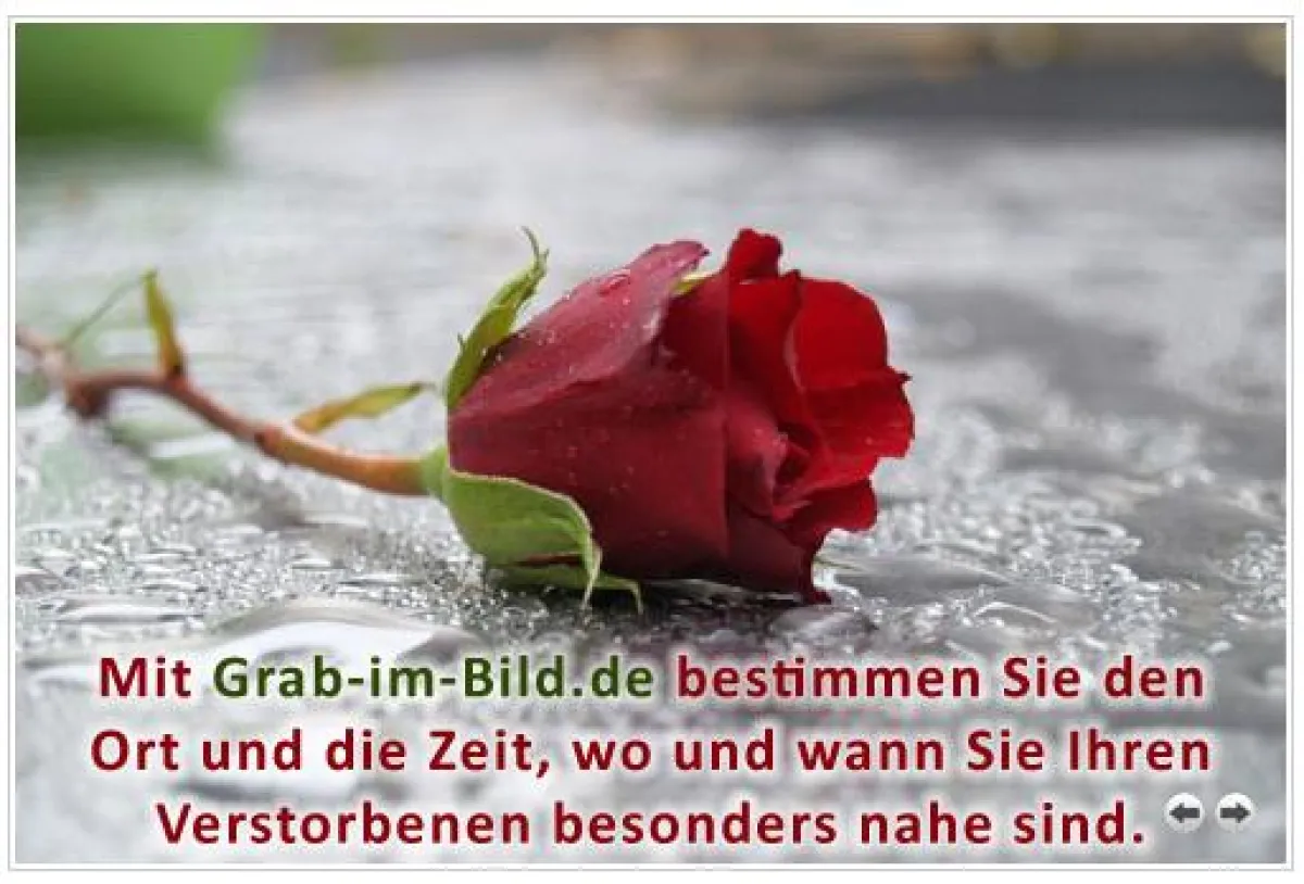 Sich in Dankbarkeit erinnern und das Grab der Angehören sehen. Das ermöglicht der neue Internetdienst Grab-im-Bild.de.