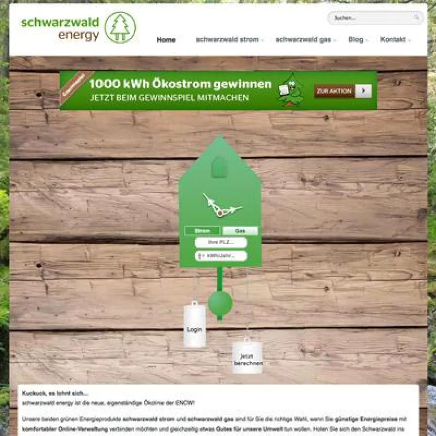 www.schwarzwald-energy.de