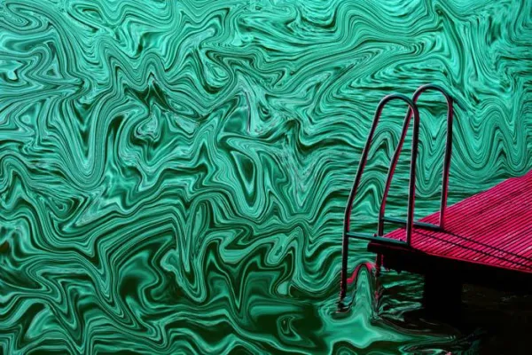 Bild: Ausstellung "extravagant" des Künstlers Hans Windeck in "Artificium" in den Hackeschen Höfen in Berlin Mitte