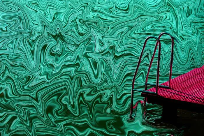 Bild: Ausstellung "extravagant" des Künstlers Hans Windeck in "Artificium" in den Hackeschen Höfen in Berlin Mitte