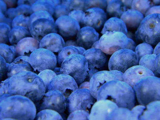 Bild: Bio-Beeren knapp, Bio-Gurken kaum zu kriegen