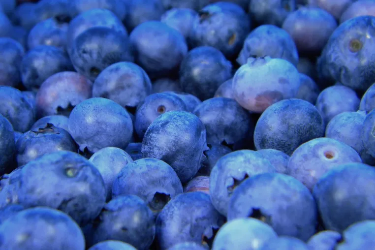 Bild: Bio-Beeren knapp, Bio-Gurken kaum zu kriegen