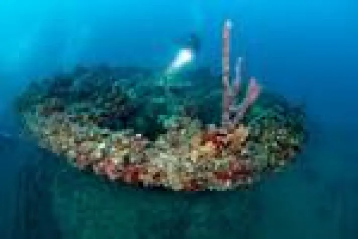 Bild: Unter dem Meer - Die Florida Keys & Key West sind ein Paradies für Taucher