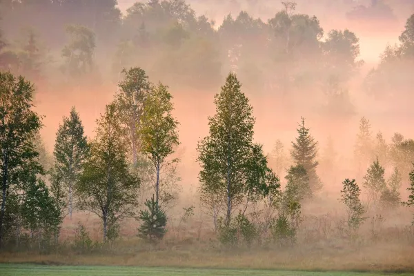 Finale im Jubiläumsjahr: Sonderausstellung zum Tölzer Moorbad Bild: Finale im Jubiläumsjahr: Sonderausstellung zum Tölzer Moorbad