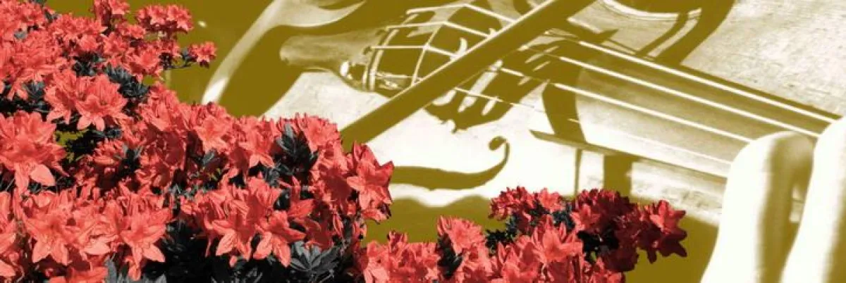 Chursächsischer Sommer - Sächsisch|Böhmisches Kulturfestival