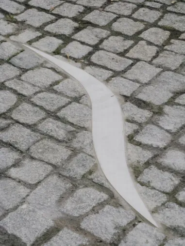 Bild: Glänzende Aussichten für Notenspur - IHK fördert Wegeleitsystem im Rahmen von „Wirtschaft trifft Wissenschaft“