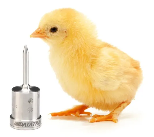 Bild: DataTrace - Temperaturüberwachung in Behältern