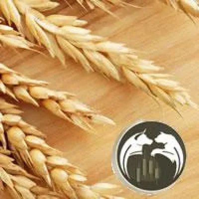 Rohstoffkonten übertrafen Erwartungen vieler Kunden und Vertriebspartner geichermaßen Bild: Rohstoffkonten übertrafen Erwartungen vieler Kunden und Vertriebspartner geichermaßen